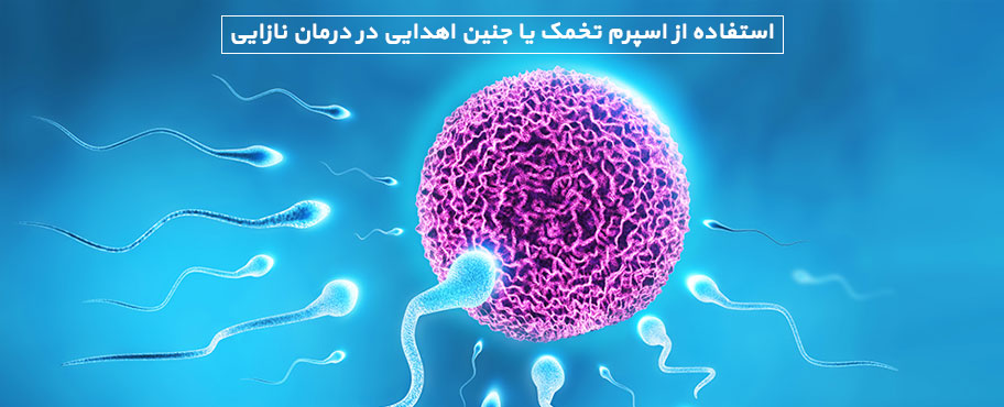 استفاده از اسپرم، تخمک یا جنین اهدایی در درمان نازایی