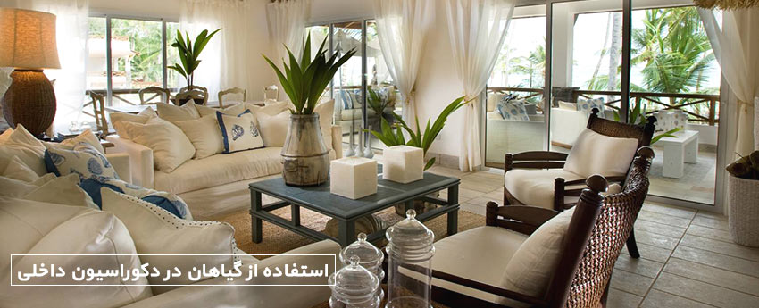 استفاده از گیاهان در دکوراسیون داخلی