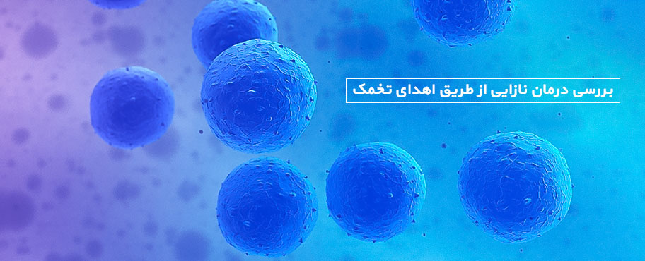 بررسی درمان نازایی از طریق اهدای تخمک