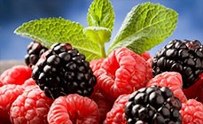مواد غذایی