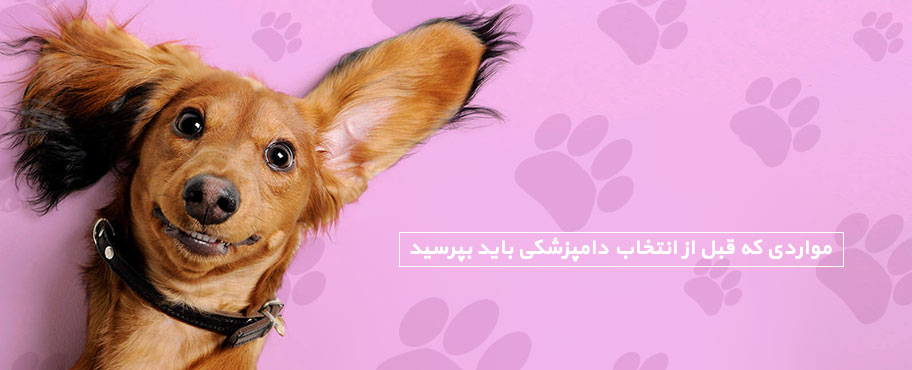 مواردی که قبل از انتخاب دامپزشکی باید مد نظر داشته باشید