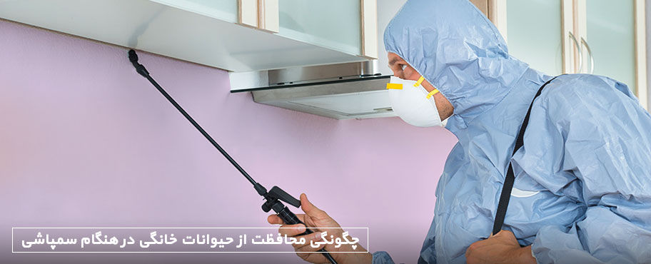 چگونگی محافظت از حیوانات خانگی در هنگام سمپاشی